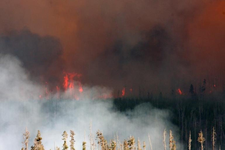 Forest Fire At Yellowstone