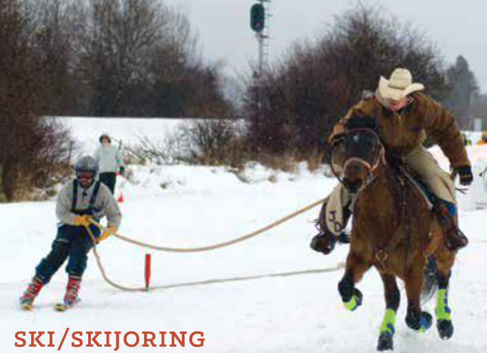 skijoring