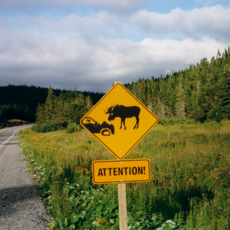 Moose Road Sign