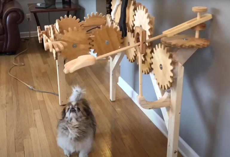 Too small for the automatic dog petter