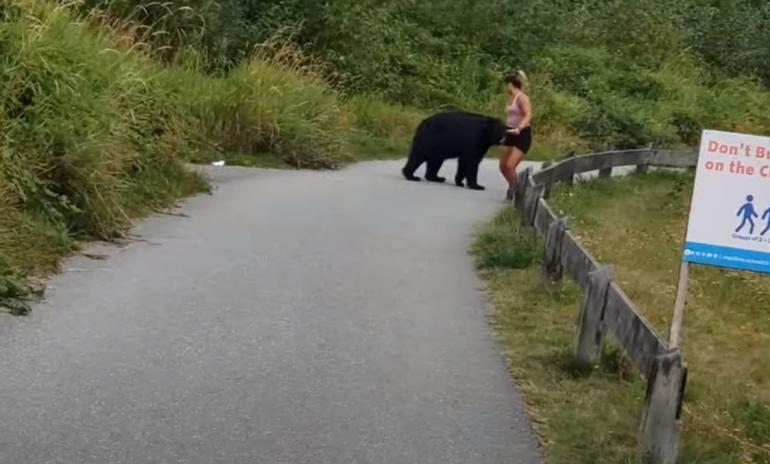 Jogger running from bear