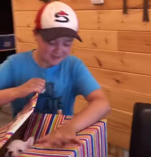 Boy opening his present with dog inside