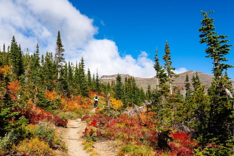 Firebrand Pass trail