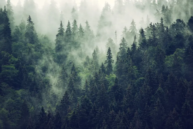 MIsty Mountains