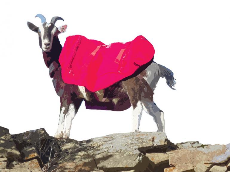 Pack Goat illustration