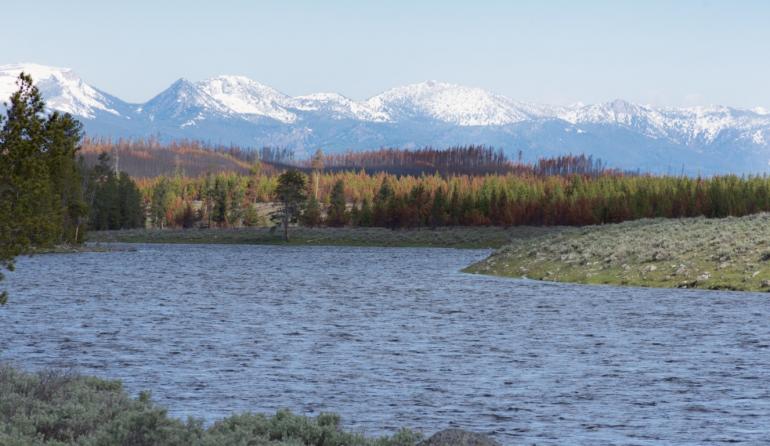 Madison River