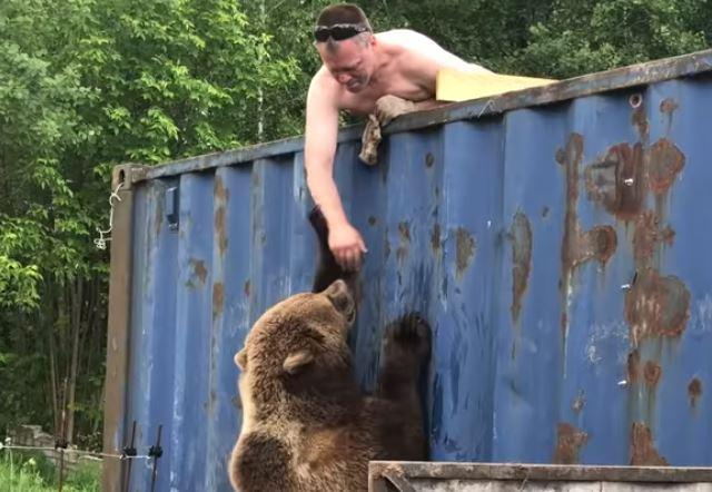 Russian baiting bear