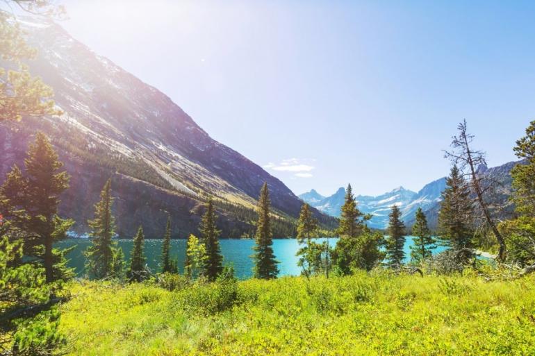 Glacier National Park vista