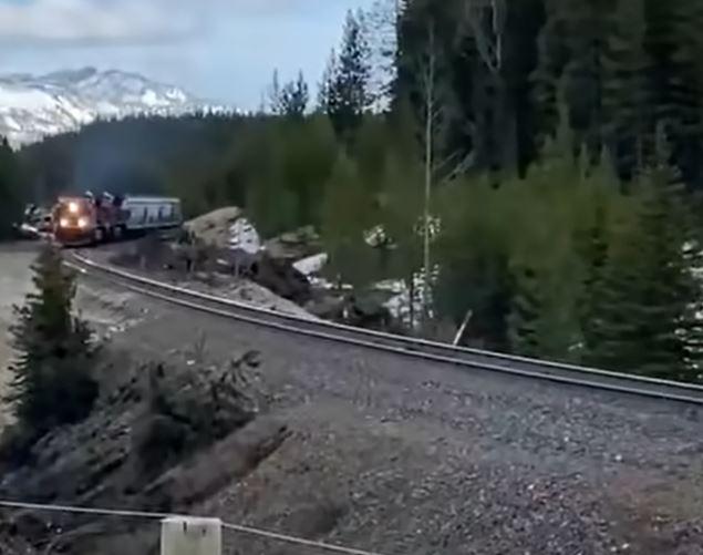 Train vs bear