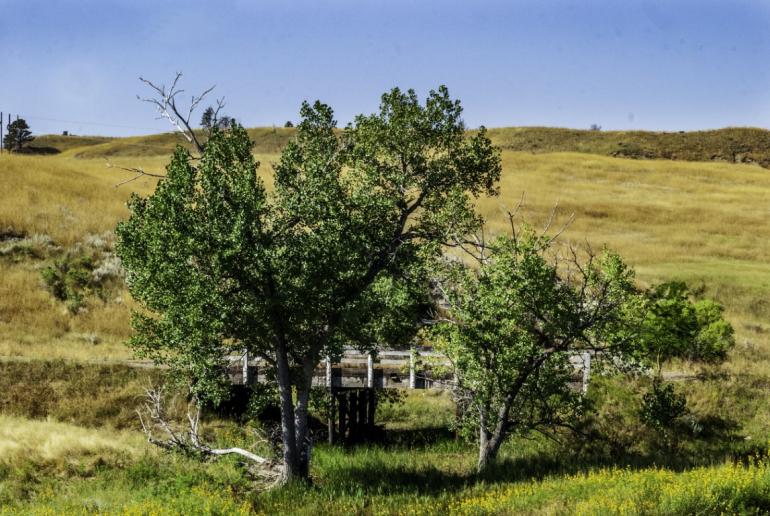 Rosebud County