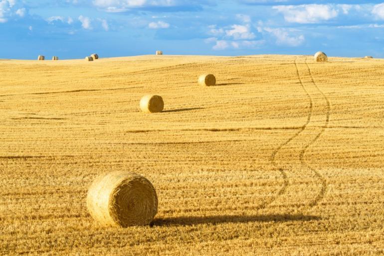 Bales of hay at sunset in Montana