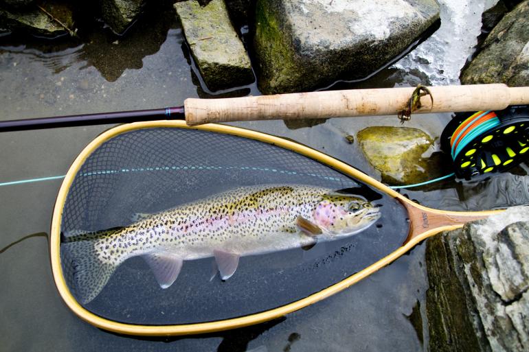 Top 5 Tips for Winter Fly-Fishing in Montana