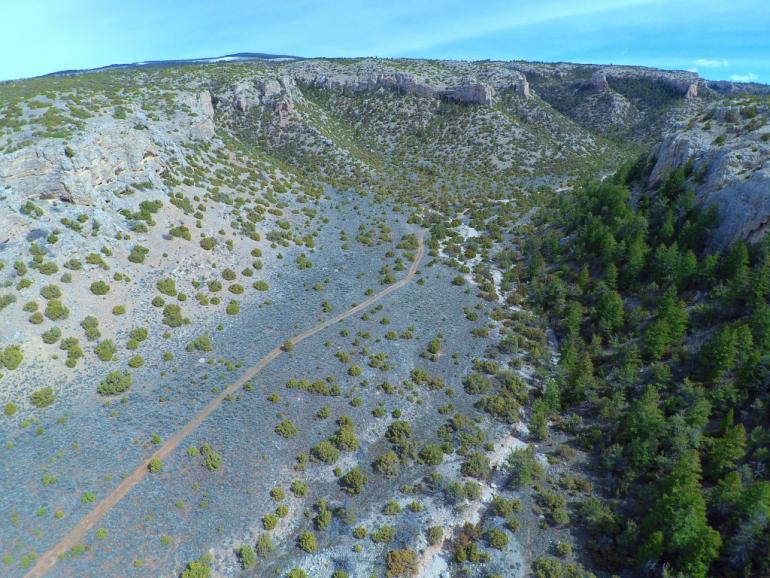 Pryor Mountains