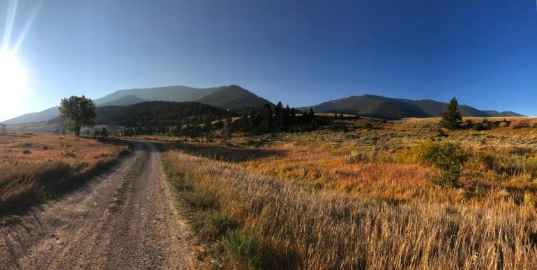 Pryor Mountains road