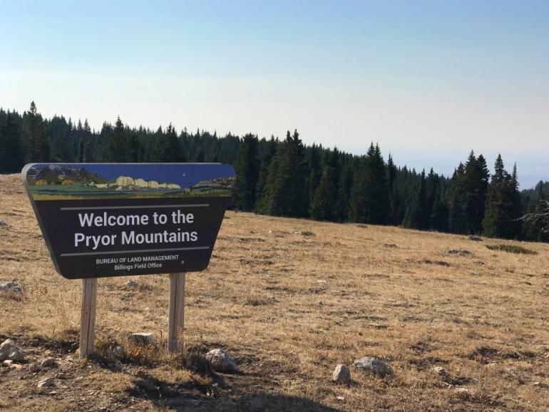 Pryor Mountains