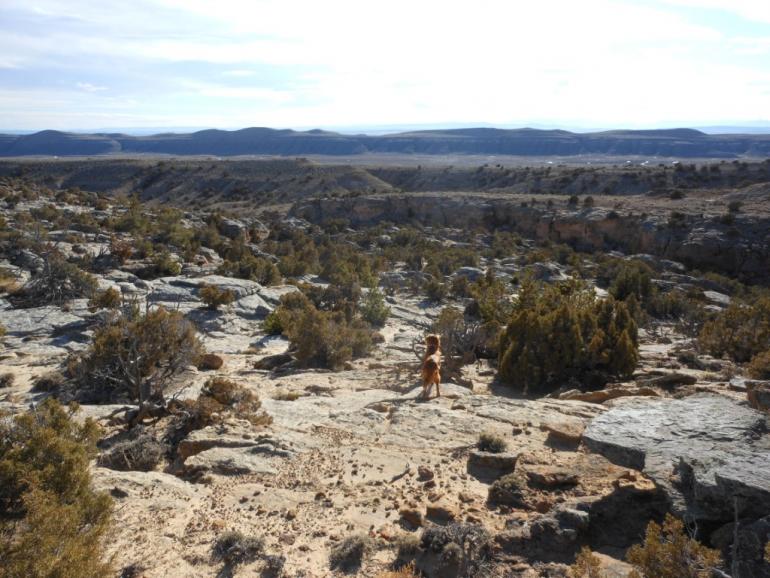 Pryor Mountains Southern Side