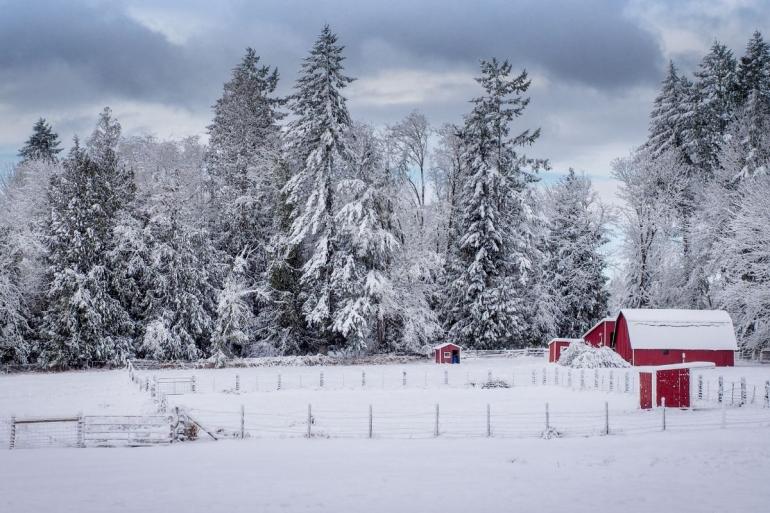 Snowy farm