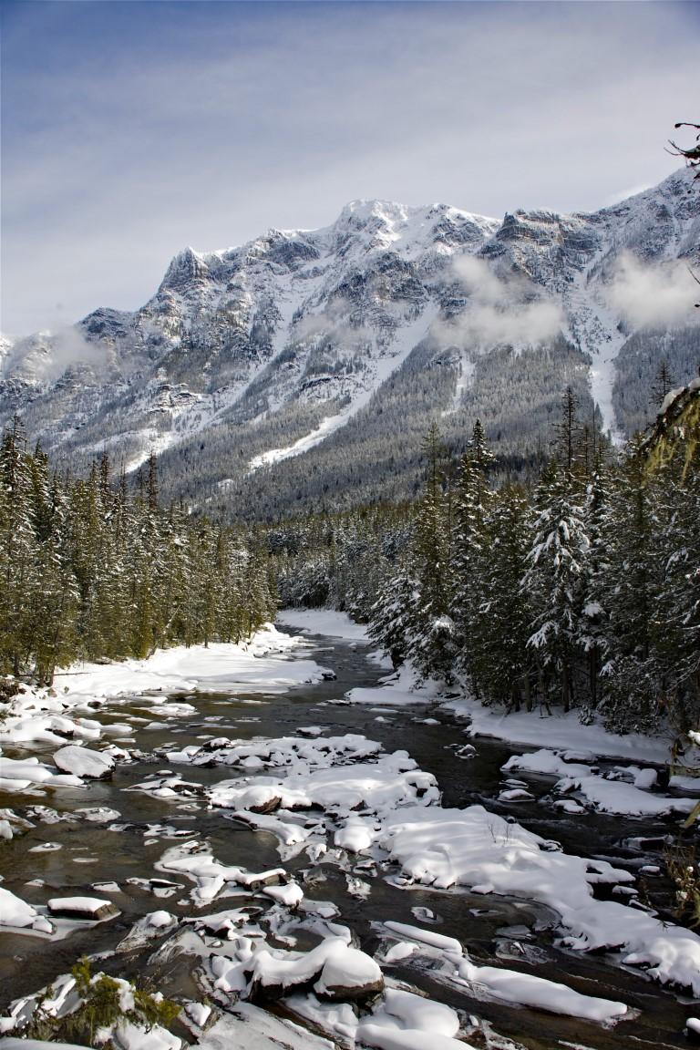 Winter at Glacier with ice and frost