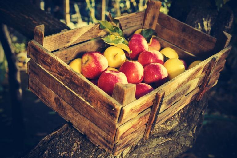 Crate of apples