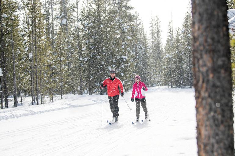 cross country ski