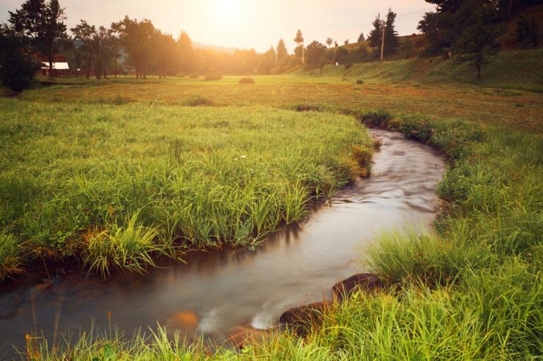 Creek on farm