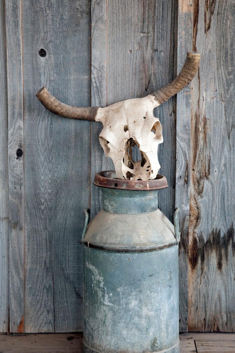 Skull on milk jug