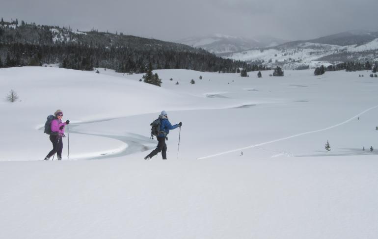 Cross country ski