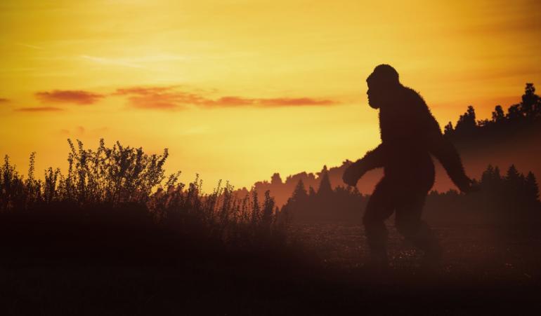 Bigfoot at sunset