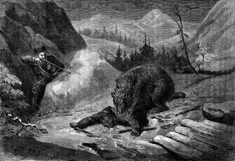 Old bear drawing