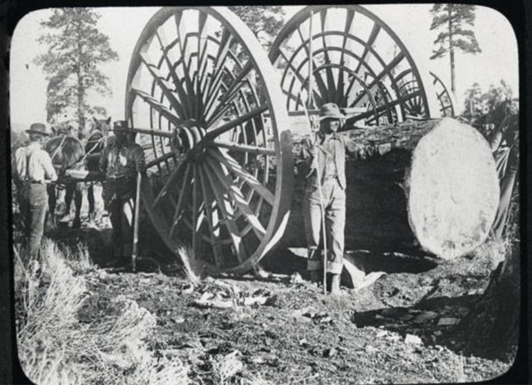 Big Wheel used in logging