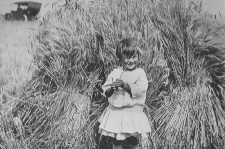Little girl standing in a wheat field