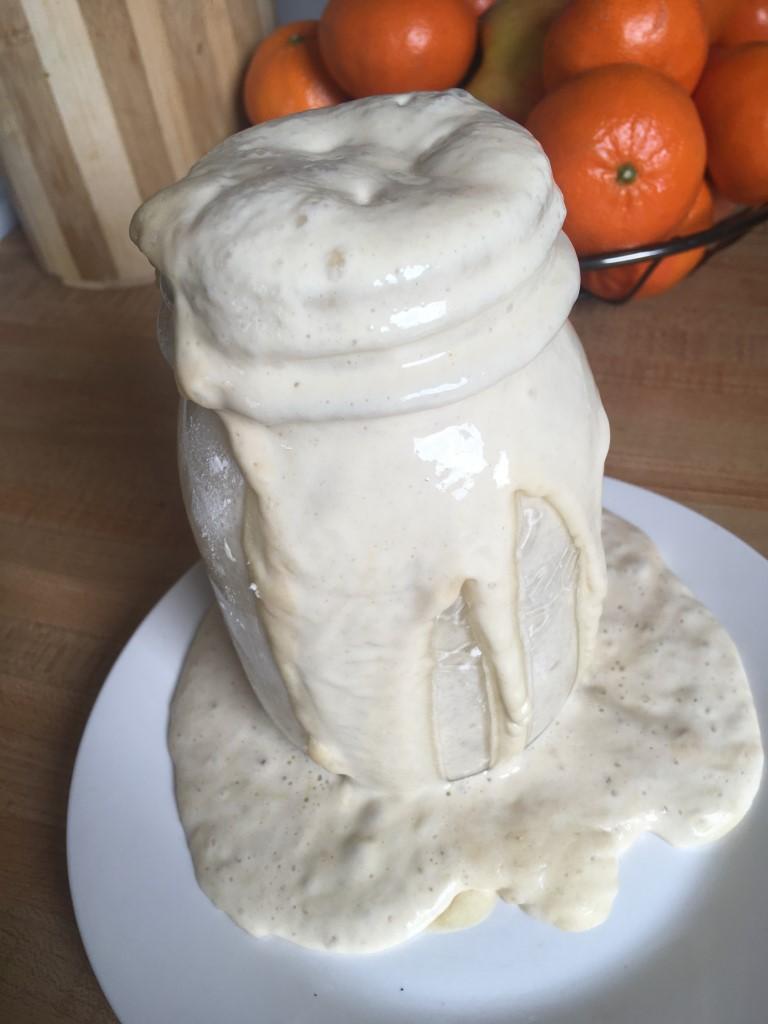 Sourdough starter