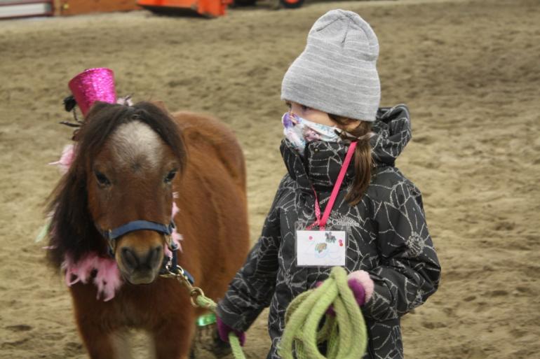 Chinook Horses