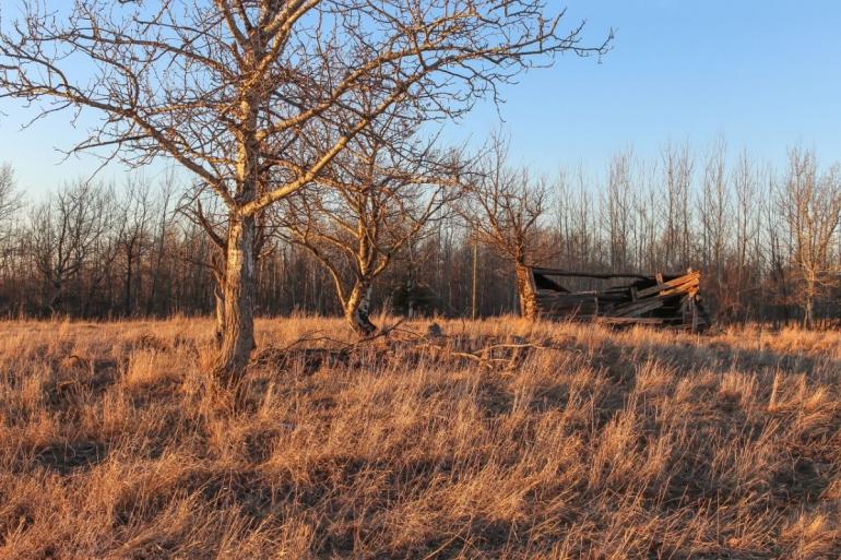 Homestead