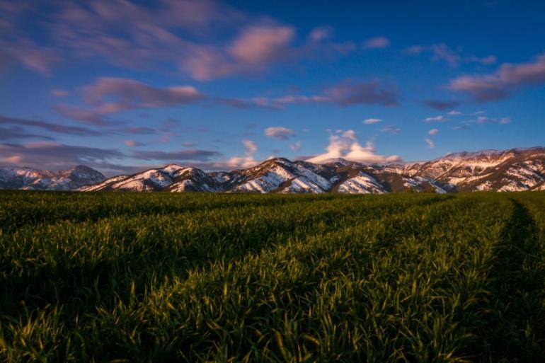 Bridger Mountains in Spring