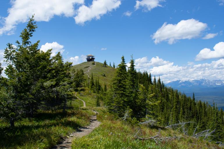 Forest service lookout