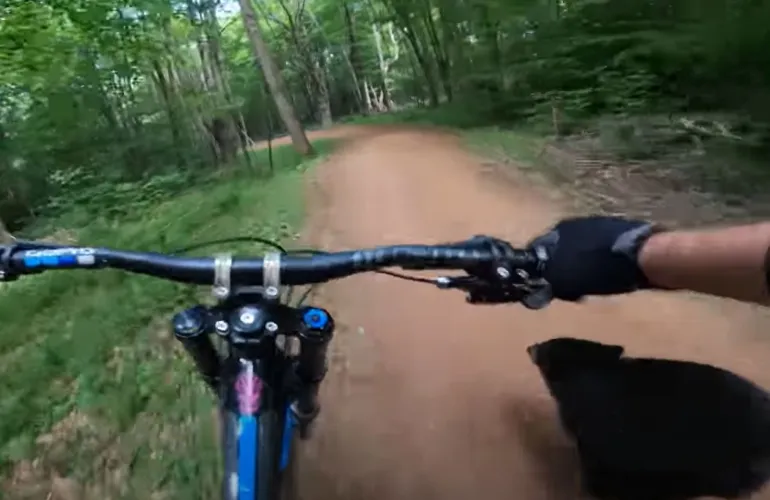 Bike bear!
