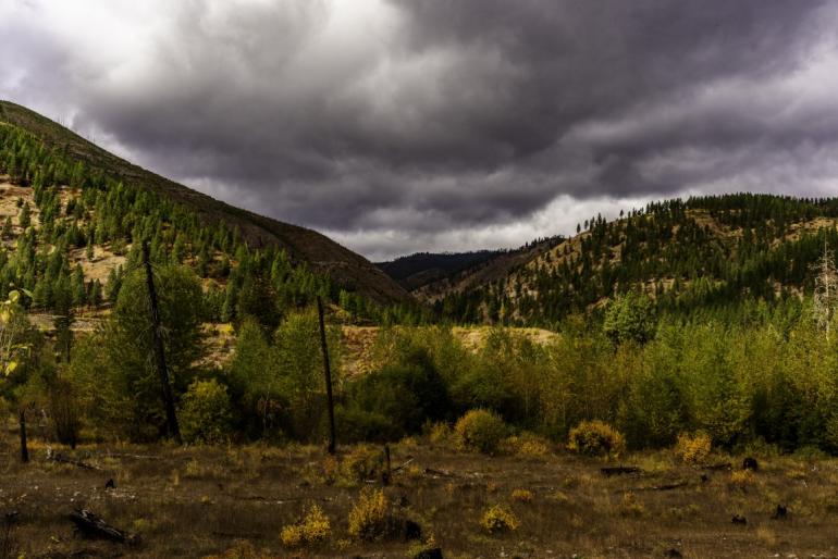 Fish Creek Fire