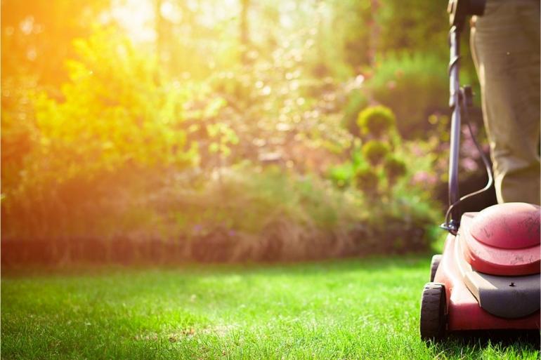 Mowing the lawn