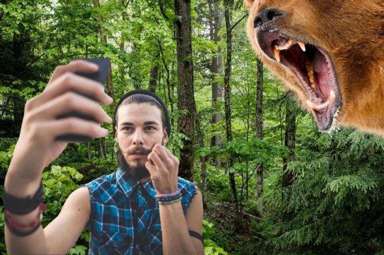 Grizzly selfie