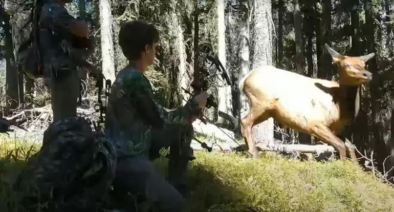 Hunters with cow elk