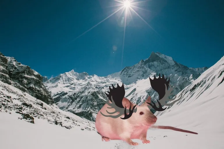 Mouse/moose