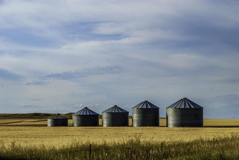 The silo family