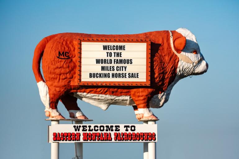 Bucking Horse Sale