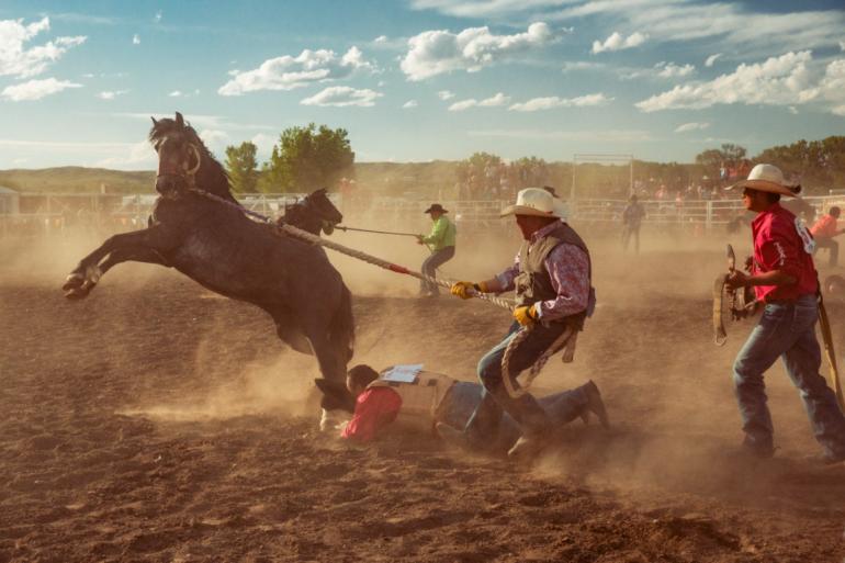 Bucking Horse Photo