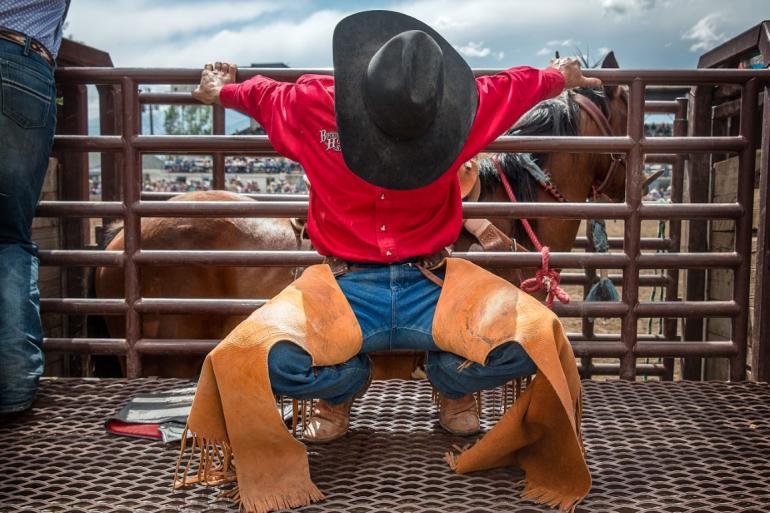 Bucking Horse Photo