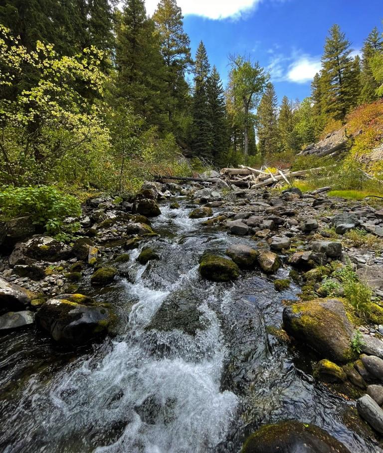 Crow Creek Falls