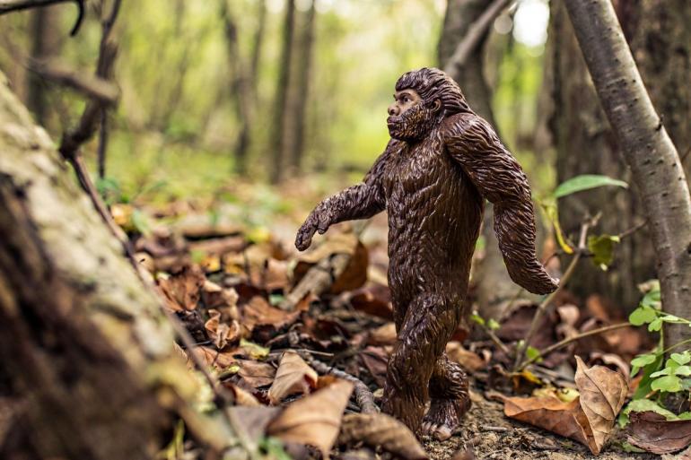 Bigfoot toy