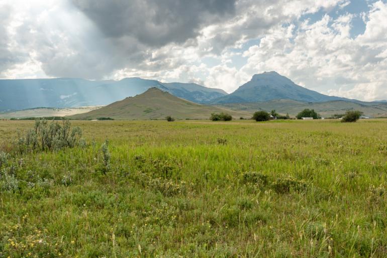 Bison Ranch