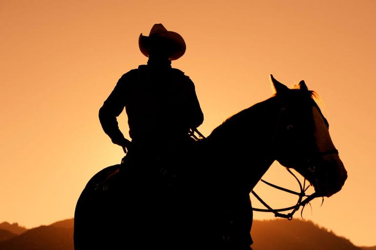 Cowboy on his Horse